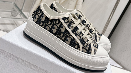 
				Dior				Shoes